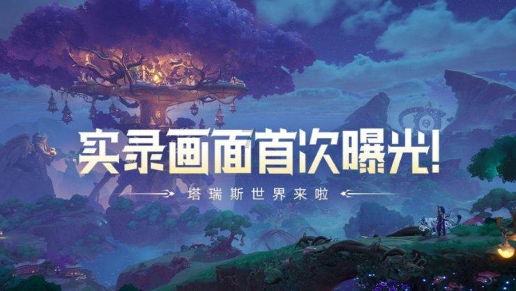 飞天小猪仔